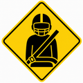 Seatbelt Charm